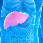 Liver disease trial