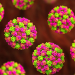 norovirus clinical trial