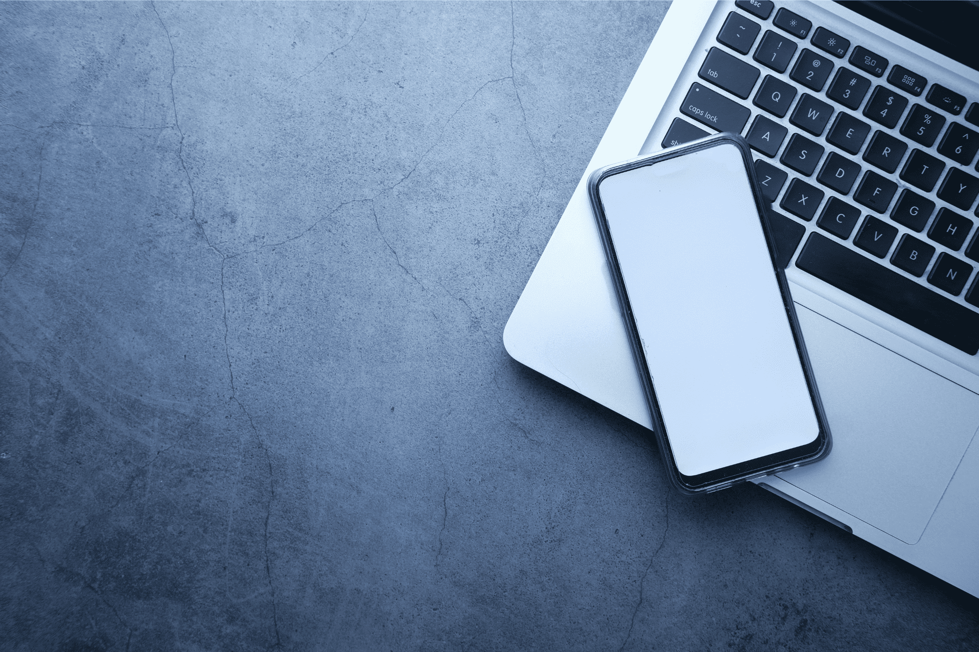 Panthera leading the way with technology