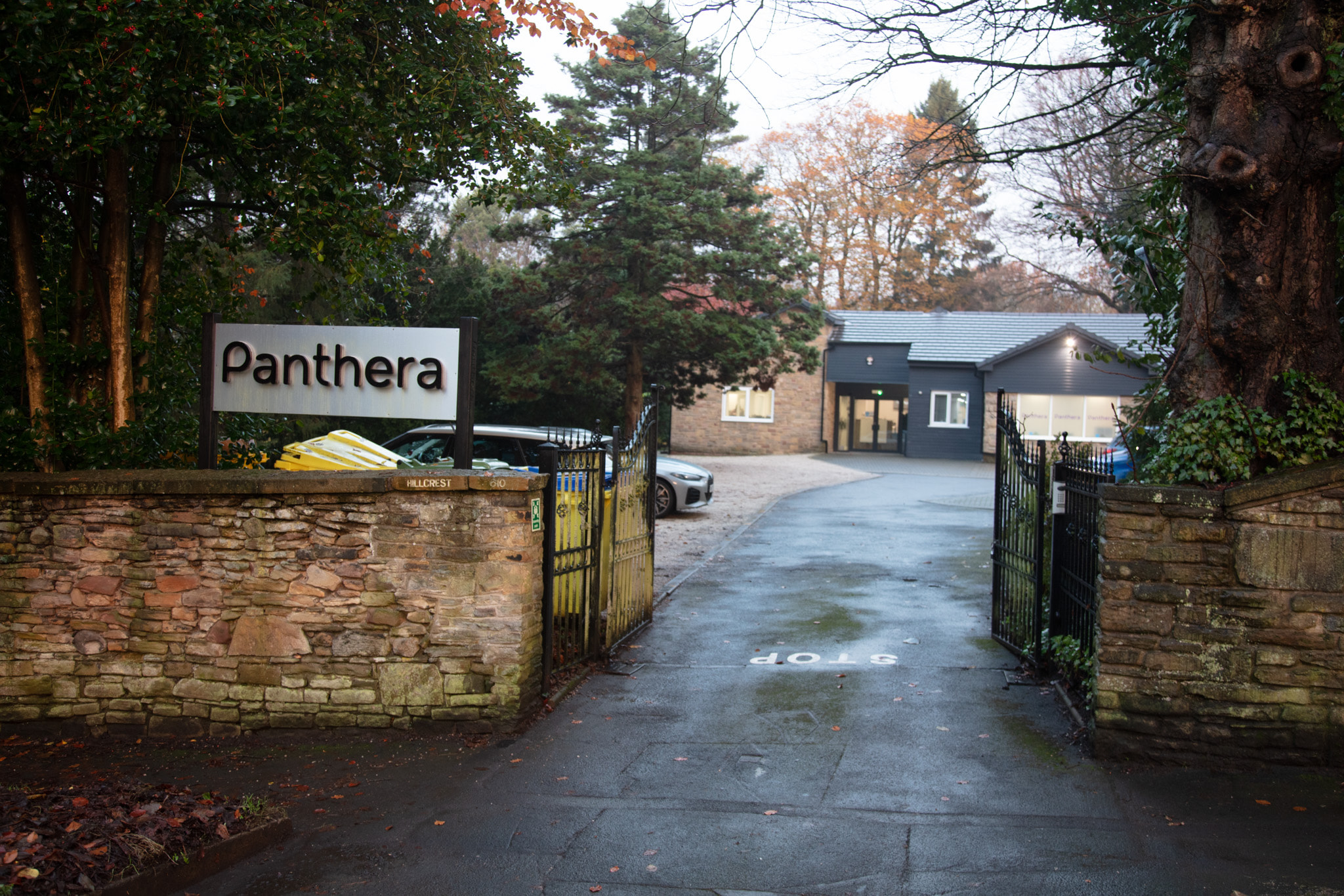 Panthera Rochdale